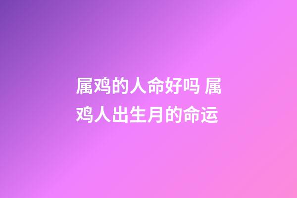 属鸡的人命好吗 属鸡人出生月的命运